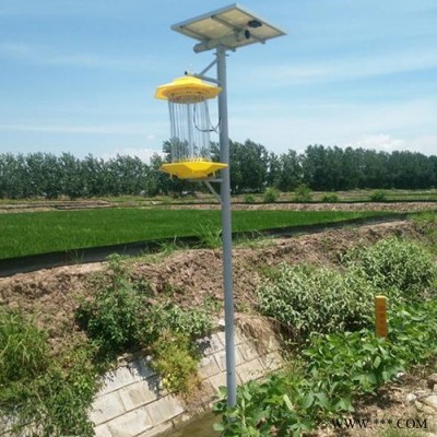 中煤 太陽能殺蟲燈  農業(yè)太陽能殺蟲燈 太陽能殺蟲燈價格  太陽能殺蟲燈