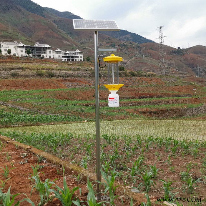 頻振式太陽(yáng)能殺蟲燈價(jià)格 LED頻振式太陽(yáng)能殺蟲燈廠家托普云農(nóng)