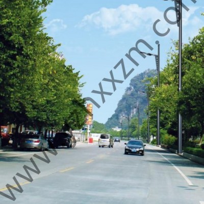 揚(yáng)州旭星LED路燈 led道路照明燈具 太陽能路燈 單臂燈 雙臂燈