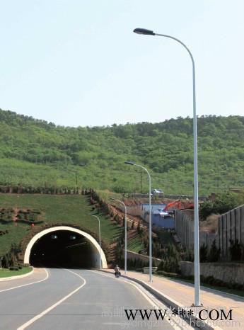 大妙光M-160道路照明燈廠家批發(fā)路燈燈桿 高桿燈燈桿 太陽能路燈燈桿 景觀柱頭路燈燈桿