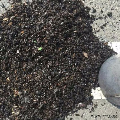 供應(yīng)太陽能單晶硅電池板高效殺蟲燈湖南太陽能殺蟲燈廠家比昂牌殺蟲燈BR-TW-D 可批發(fā)
