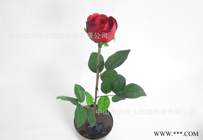 太陽(yáng)能花盆燈、太陽(yáng)能紅色玫瑰花燈、太陽(yáng)能LED盆花、LED陽(yáng)