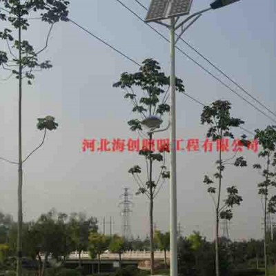 生產直銷 太陽能 6-12米太陽能路燈  **LED燈 節能