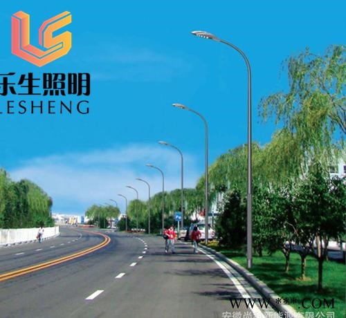 樂生照明led 市電LED路燈太陽能庭院燈  **