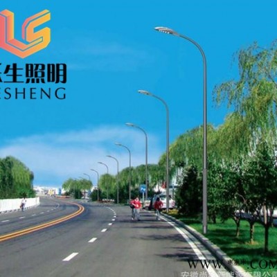 樂生照明led 市電LED路燈太陽能庭院燈  **