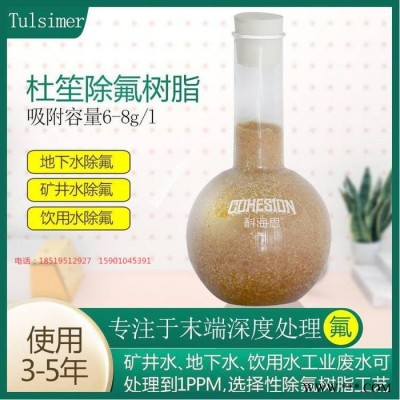 杜笙光伏廢水除氟樹脂