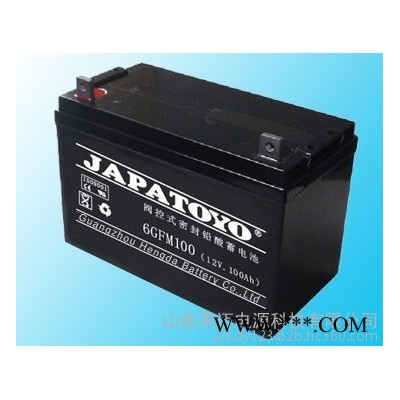 TOYO蓄電池6FM24東洋免維護蓄電池12V24AH UPS不間斷電源專用 TOYO蓄電池報價/參數 太陽能蓄電池