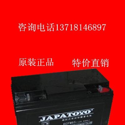 東洋蓄電池12V65AH 6GFM65 太陽能閥空UPS電源