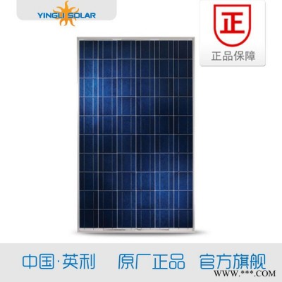 英利YL-260P29b太陽能電池