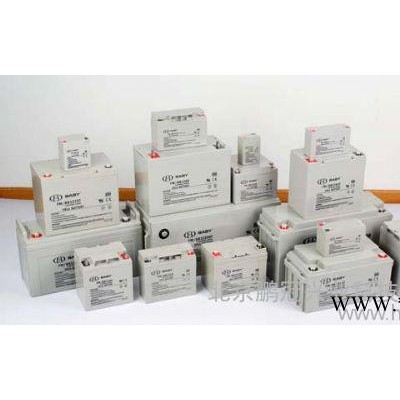 BABY蓄電池FM/BB1217 12V17AH后備儲能應(yīng)急蓄電池/原裝
