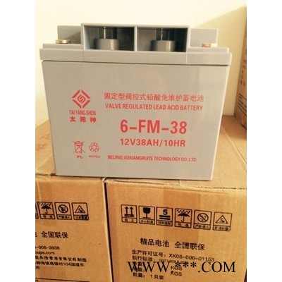 太陽神6-FM-100鉛酸免維護蓄電池