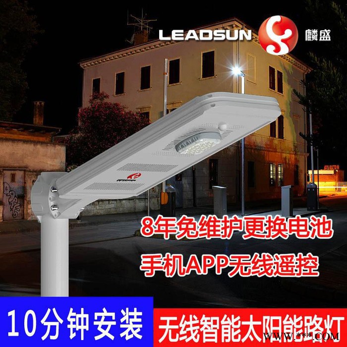 LEADSUN/麟盛 一體化太陽能路燈 街道小區道路照明太陽能一體燈 鋰電池LED智能感應燈
