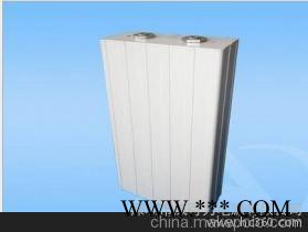 供應磷酸鐵鋰電池5081230-6AH 25.6V