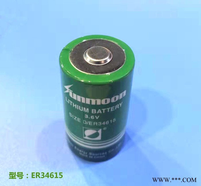 供應ER34615 ER34615M 3.6V鋰亞電池