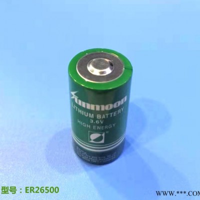 供應ER26500 ER26500M 3.6V鋰亞電池