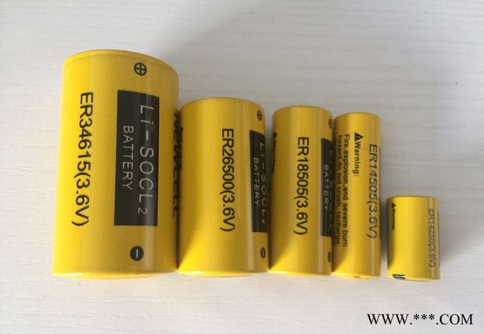 NEWCELLER34615 鋰電池 大容量鋰亞電池 ** 可搭配復合超容電池 智能儀器儀器電源