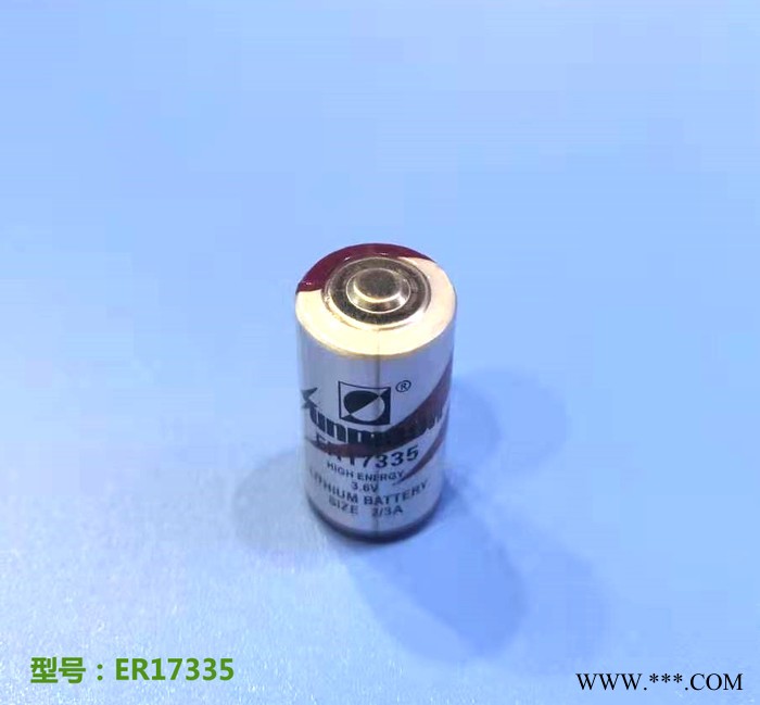 供應ER17335 ER17335M 3.6V鋰亞電池