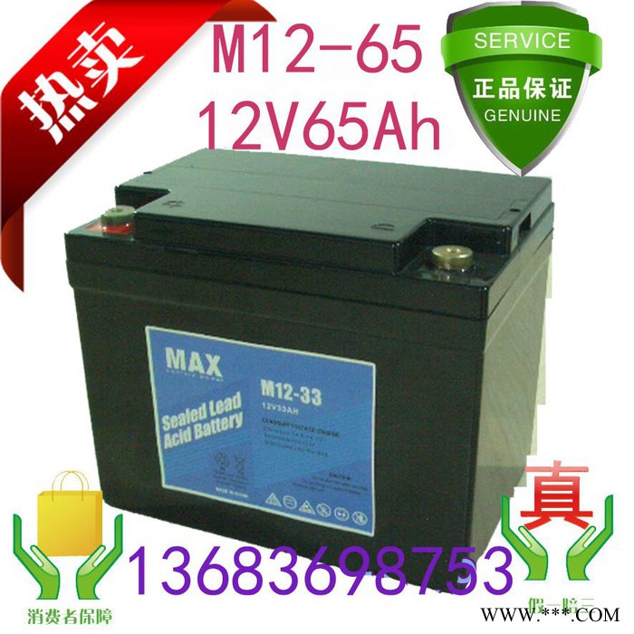 MAX 蓄電池 M12-200風力發(fā)電專用
