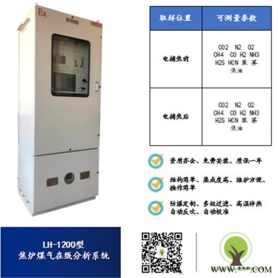 生物質鍋爐熱值在線監測在線氧氣分析儀防止安全事故發生