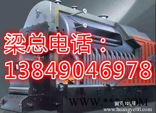 DZL【6噸生物質鍋爐,6T生物質鍋爐,6t生物質鍋爐】4噸生物質鍋爐報價河南太鍋鍋爐廠 特種鍋爐 2