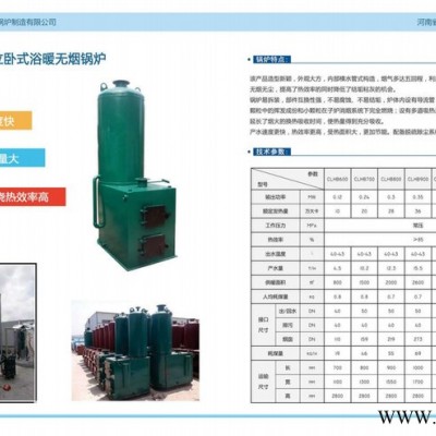 河南省恒信鍋爐供應(yīng) 生物質(zhì)鍋爐CWHB-0.7-0.7