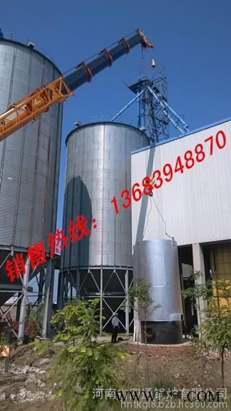 **河南浴池鍋爐，4噸生物質鍋爐，80萬大卡導熱油爐