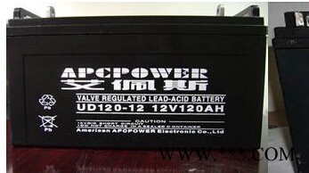 美國艾佩斯蓄電池UD120-12 艾佩斯蓄電池12V120AH 直流屏電池 UPS蓄電池 EPS蓄電池 光伏儲能電池
