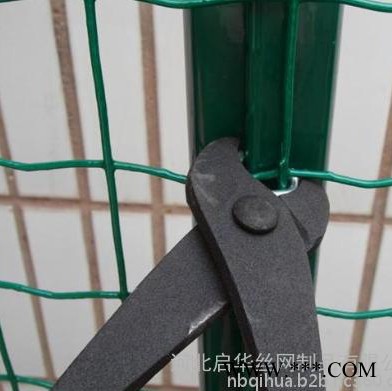 供應(yīng)光伏電站圍網(wǎng)    光伏電站護(hù)欄網(wǎng)   綠化護(hù)欄網(wǎng)   荷蘭網(wǎng)廠家   護(hù)欄網(wǎng)廠家   綠色鐵絲網(wǎng)  **隔離柵廠家