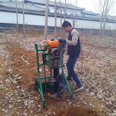 植樹挖坑機圖片 單人操作栽桿鉆坑機 光伏發(fā)電打眼機