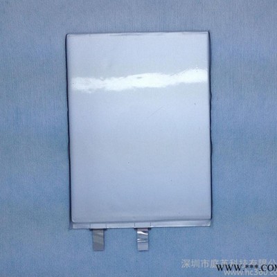**2890100 聚合物鋰電池 3000毫安 大容量鋰電池 一次性干電池