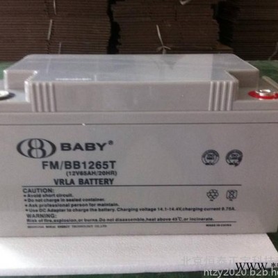 鴻貝BABY蓄電池FM/BB12120T 12V120AH/10HR消防蓄電池UPS蓄電池 光伏發電 應急電源電池