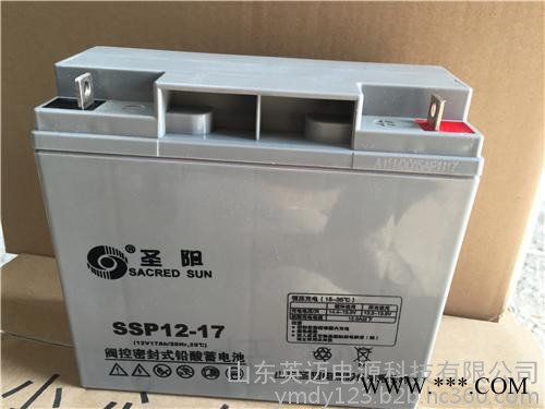 圣陽蓄電池SP12-38免維護蓄電池12V38AH 太陽能光伏發(fā)電專用儲能蓄電池 通信電源內(nèi)置48V電池 UPS專用