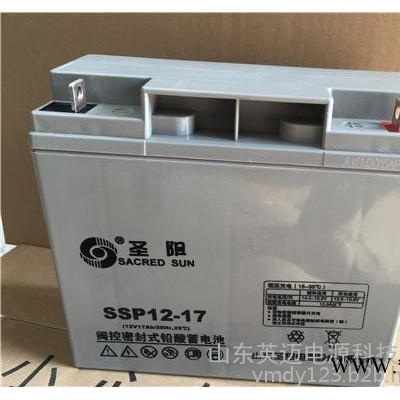 圣陽蓄電池SP12-38免維護蓄電池12V38AH 太陽能光伏發(fā)電專用儲能蓄電池 通信電源內(nèi)置48V電池 UPS專用