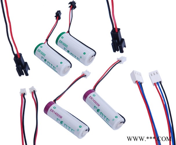 ForteForte高容量3.6V電池ER17335 2/3A SIZE鋰電池