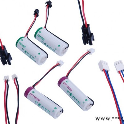 ForteForte高容量3.6V電池ER17335 2/3A SIZE鋰電池