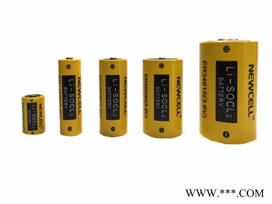 Newcell AA 5號鋰電池 鋰亞硫酰氯 ER14505 3.6V 2700mAh 超長壽命 耐高低溫 物聯(lián)網(wǎng)電源