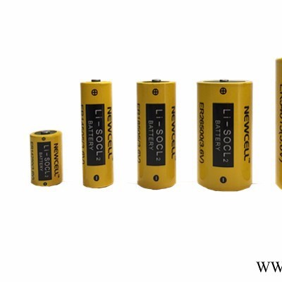 Newcell AA 5號鋰電池 鋰亞硫酰氯 ER14505 3.6V 2700mAh 超長壽命 耐高低溫 物聯(lián)網(wǎng)電源