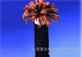 **商】電線電纜 光伏電纜 電話線 通訊電纜 HYA 30*2*0.5