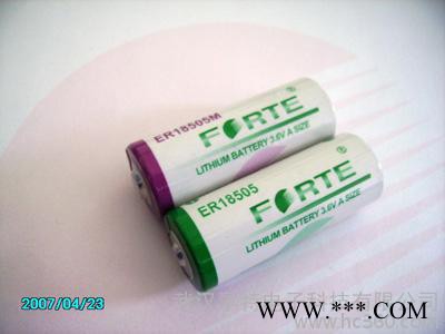 供應 一次性鋰電池ER18505 遠程抄表所需電池 多儀器儀表試用