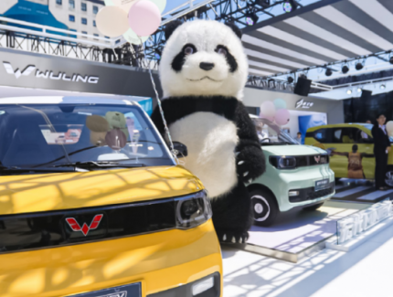 新能源汽車在農村比在城市更有優勢？
