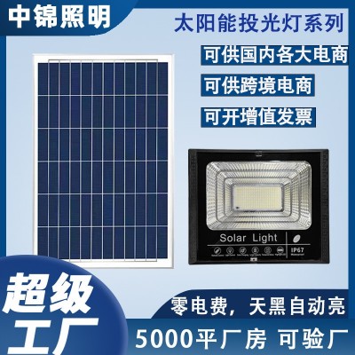 惠民新款太陽(yáng)能燈戶(hù)外照明庭院燈太陽(yáng)能投光燈新農(nóng)村路燈廠家直銷(xiāo)