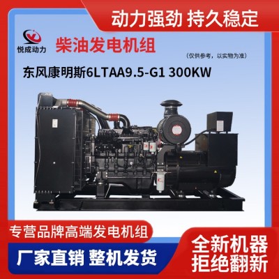 中美合資東風康明斯常用400KW柴油發電機組 備用500千瓦發電機組
