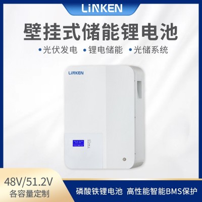 51.2V壁掛式鋰電池 磷酸鐵鋰家庭儲能電池組100AH200AH300AH 并聯