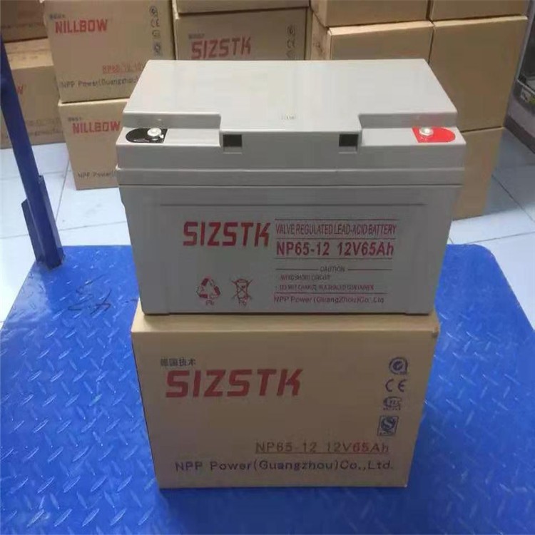 鉛酸蓄電池12v65A H耐普蓄電池NP65-12 太陽能UPS電源專用蓄電池