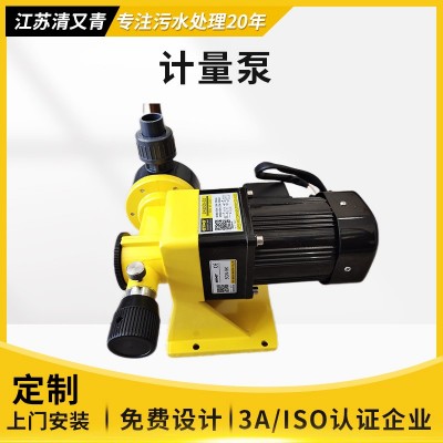 廠家供應(yīng)計(jì)量泵 機(jī)械隔膜計(jì)量泵加藥裝置加藥機(jī)械電磁隔膜泵
