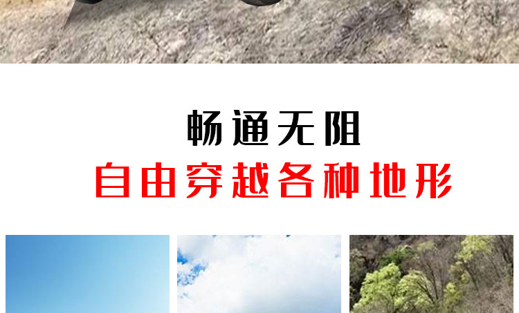 詳情圖_7.jpg