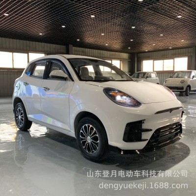電動轎車電動四輪車家用代步車油電兩用冷暖空調新能源低速電瓶車