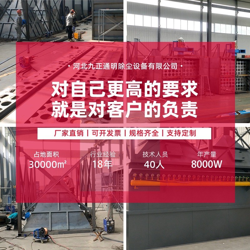 直供袋式工業單機除塵器小型脈沖除塵器 鍋爐倉頂濾筒布袋除塵器