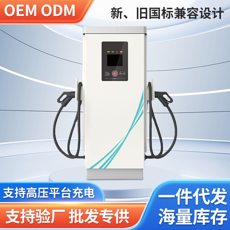雙槍大功率汽車直流立式充電樁廠家直供新能源電動(dòng)汽車充電樁