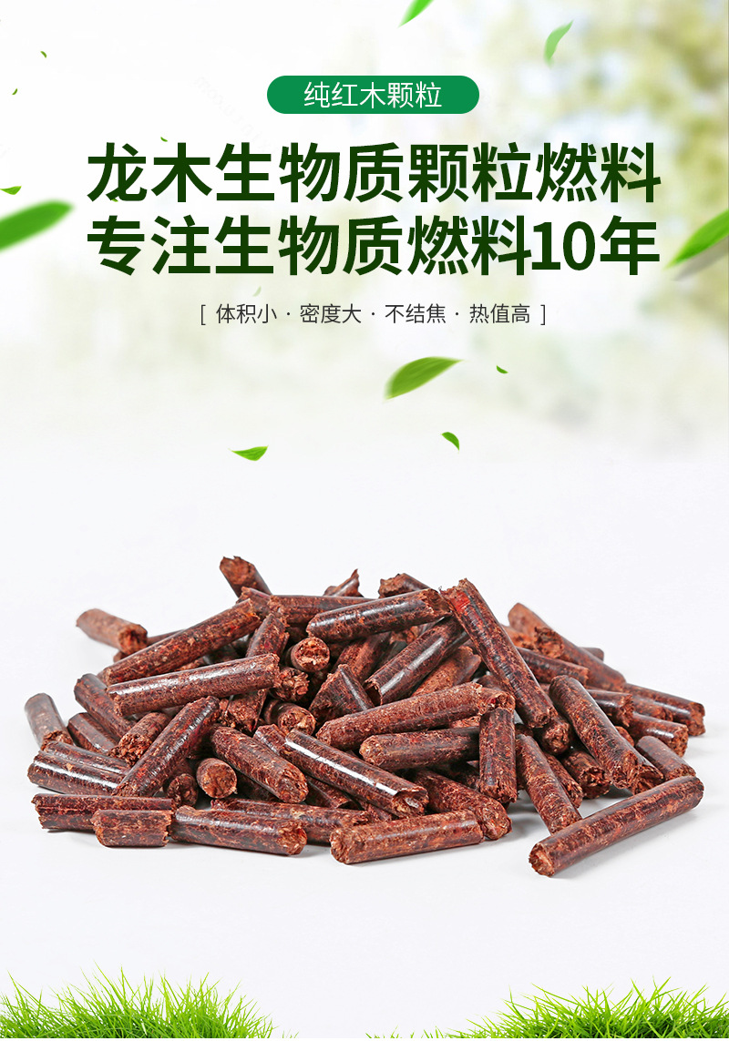 龍木內(nèi)頁_01.jpg